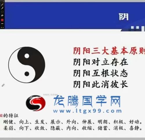 苏氏金镖门体系技法全课程古法盲派串宫压