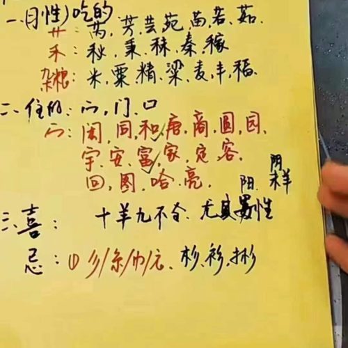 梅花五瓣开姓名学