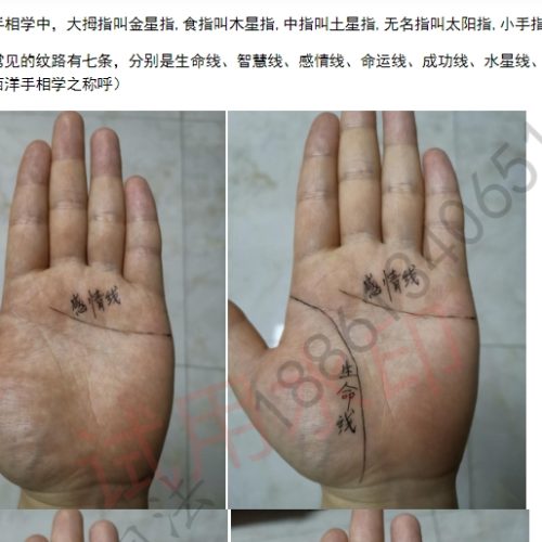 详睿相法2020年手相初级班第一期