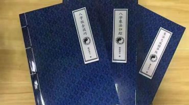 陈朝阳最新八字全集三册