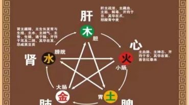 独家算命基础运用口诀详解，江湖算命口诀秘传《百宝箱 》 什么秘法都有 高清彩色版