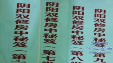 阴阳双修房中养生秘笈