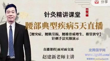 腰部疾病精讲–特效针法+手法