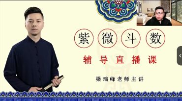梁瑞峰【紫微斗数】网络训练营245集