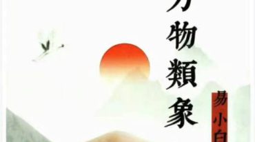 易小白易学-《奇门万物类象》184页,pdf