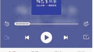 陈春林梅花策轨数