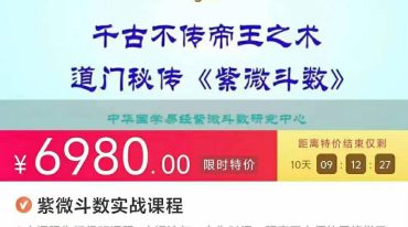 千古不传道门秘传 紫微斗数实战课程