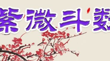 若提孤隐 紫薇斗数钦天四化精研 笔记 498页.pdf