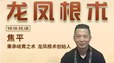 焦平龙根术凤根术合集