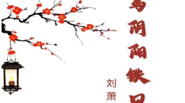 刘萧宁 走马阴阳铁口断