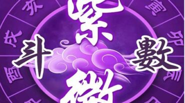 蓬蒿人-自化体系基础教学