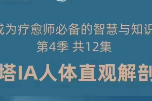 张继舫 成为疗愈师必备智慧与知识 第四季 希塔IA人体直观解剖学