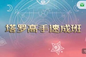 依盈24年 高手+专业