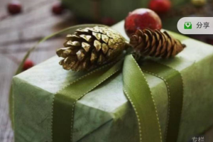 学霸猫的礼物 七个冥想练习