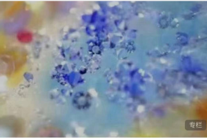 雪莉水晶光疗愈三阶段