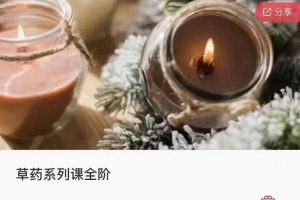 心灵境 草药系列课全阶