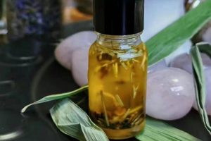 夏陆之城Shirley 魔法油精讲课程