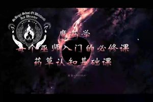 夏陆之城Shirley 魔药学