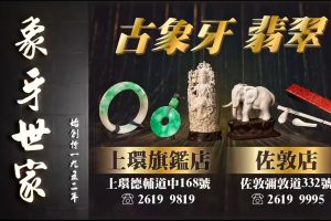 通灵之王 2022