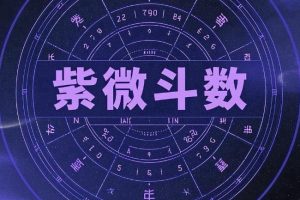 玄易紫薇斗数弟子班