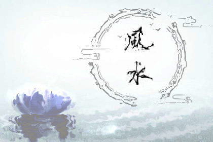 随缘天下一宅断高清完整版