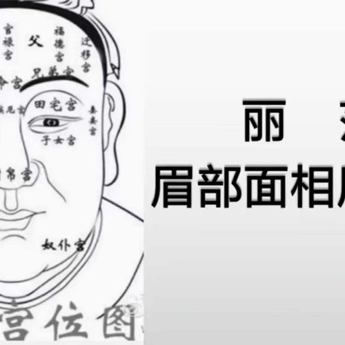丽莎相法解读