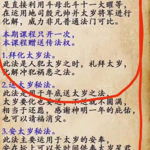 紫宸道脉化太岁