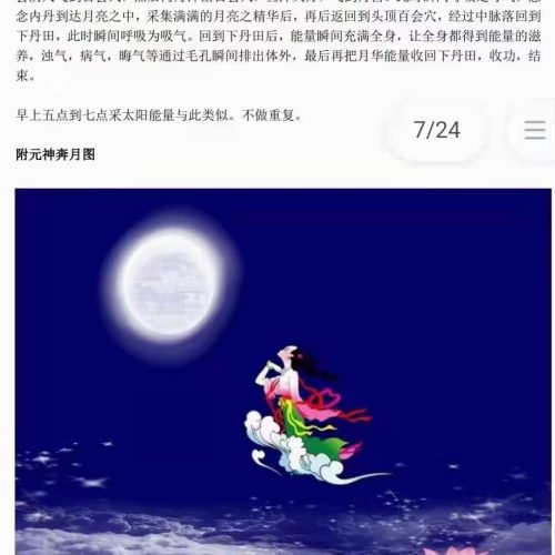 狐仙媚力飞丹术
