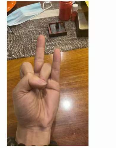 济世道人法师必备指诀功法第一期