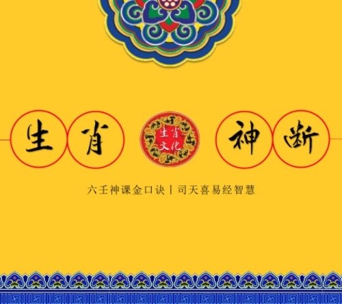 司天喜 生肖神断 速成课程
