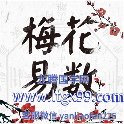 张泽华梅花易数面授录音36集+讲义