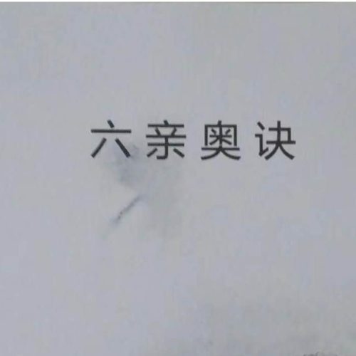 凌雪衣-南传子平弟子班资料9本