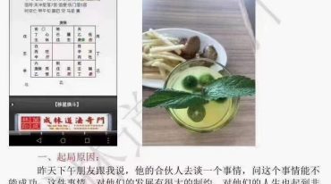 苗成林 道法奇门精选案例集.pdf