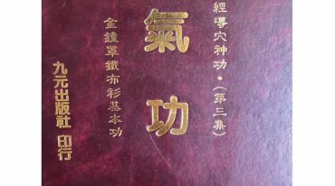 涂金盛九元气功
