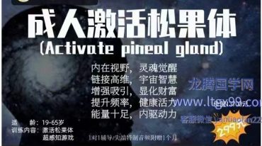 全息 成人松果体激活 超高能6.0版