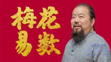 田至鹤梅花心易