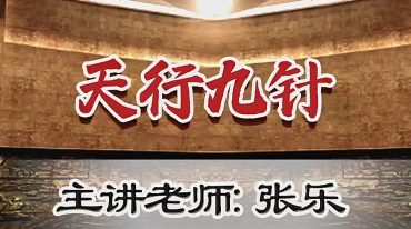 御珍堂–张乐–张氏天行九针 一期
