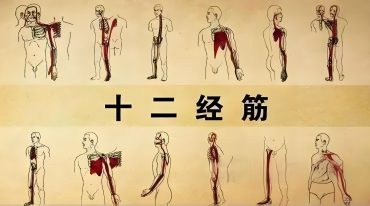 十二把锁推拿还阳术