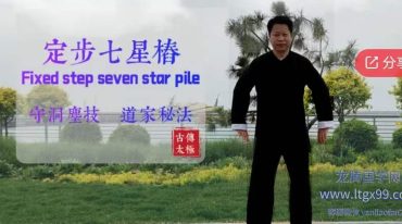 武当犹龙太极七星桩