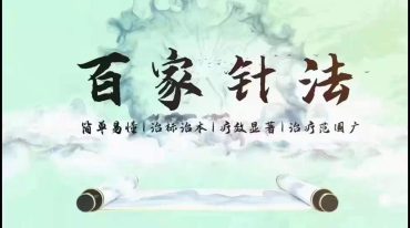 刘培杰百家针法面授班小视频