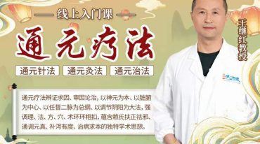 针灸通‮疗元‬法 王继红教授 全18讲 