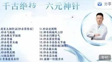 袁华六元神针20种秒杀绝技针入痛消