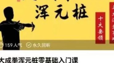 大成拳浑元桩零基础入门课