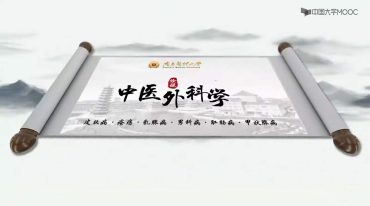 中医外科学 全62讲 南方医科大学 超清视频
