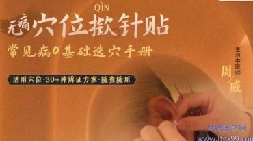 无痛穴位揿针贴  34讲