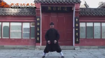 钟云龙道长亲传太极养生功系列