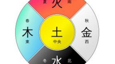 哲龙电子版合集