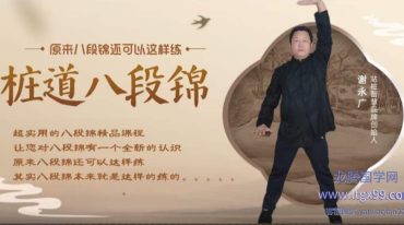 桩道八段锦：引桩入锦筑基功