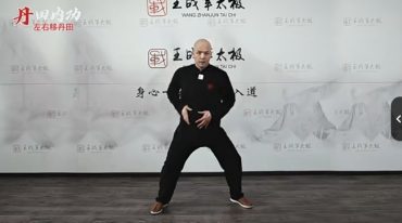 王战军秘传绝学丹田弹抖