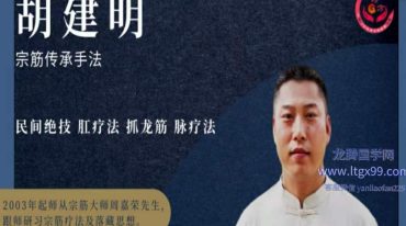 胡建明 宗筋传‮手承‬法